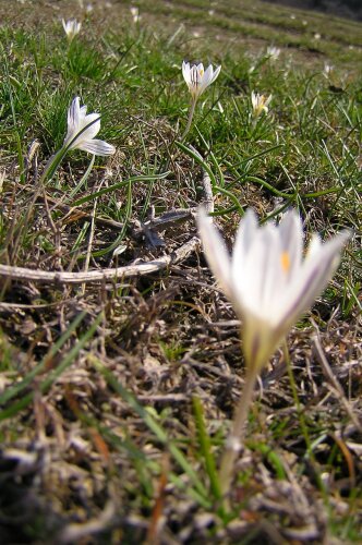 Весна на склонах Партизанки