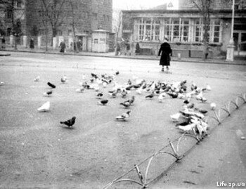 Кормление голубей на одной из площадей.