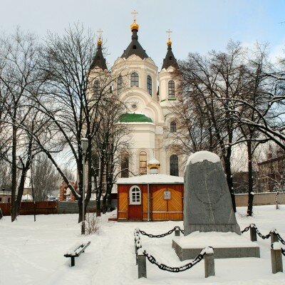 Свято-Покровский кафедральный собор, зима 2013 года
