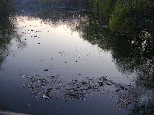 Вот столько мусора в нашем парке Дубовая роща