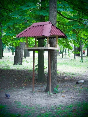 Кормушка для птиц в парке