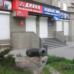 Оружейный магазин «Диана». Музей оружия.