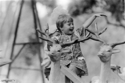 Парк «Дубовая роща», 31 августа 1980 года
