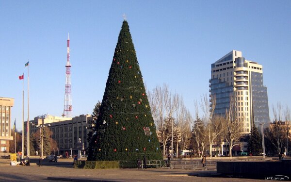 Новогодняя елка на площади Фестивальной