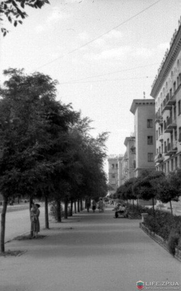 Улица в зелени и цветах, 1958 год