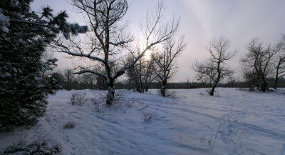 Настоящая зима в Днепровских плавнях 2013