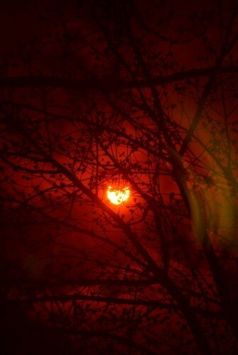 Фотографии солнечного затмения 2015