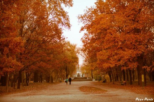 Парк Дубовая роща осенью. Осенняя Дубовка в Запорожье.